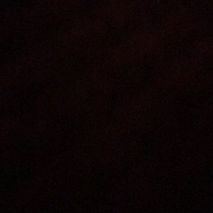 Meet your Posher, Jammie l